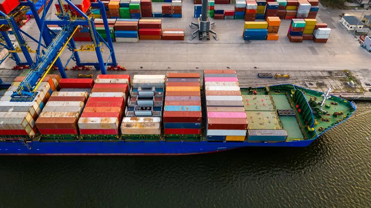 Govt sets up panel to review export rebate rates under RoDTEP, RoSCTL schemes