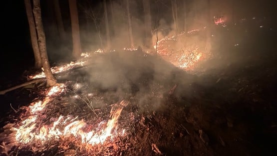 USDA Forest Service working to suppress W.Va. wildfire