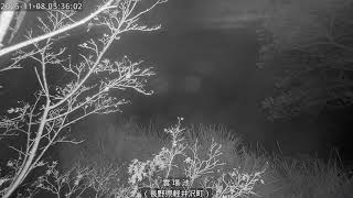 Autumn Colors Advance Rapidly in Karuizawa as Temperatures Drop Below Freezing