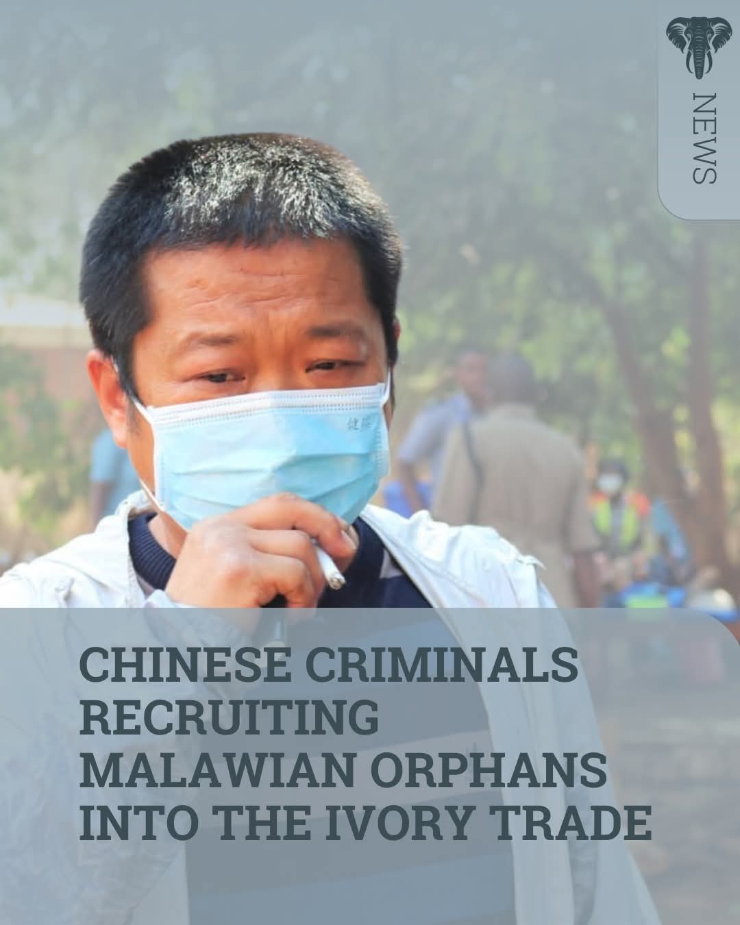 From Orphan Care to Crime Hub: Amitofo Centre Linked to Malawi’s Wildlife Smuggling Network