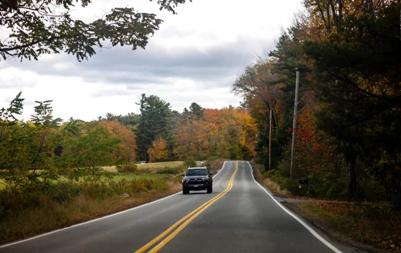 Scarborough on track to become a ‘Tree City’