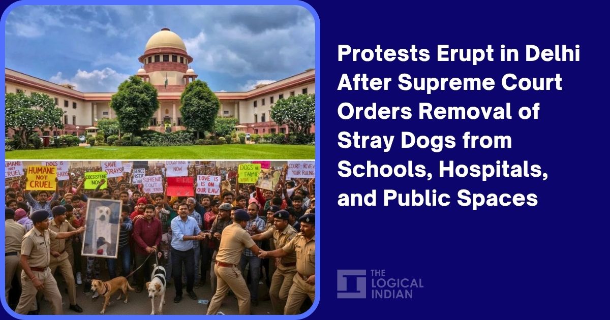 Protests Erupt in Delhi After Supreme Court Orders Removal of Stray Dogs from Schools, Hospitals, and Public Spaces