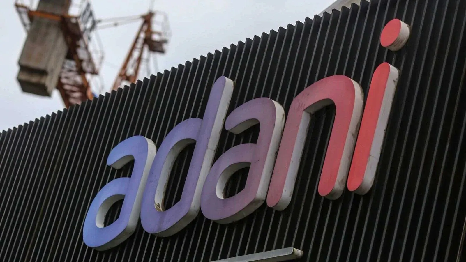 Adani Group Stocks Soar, Add Rs 48,550 Crore In A Day; What's Driving The Rally?