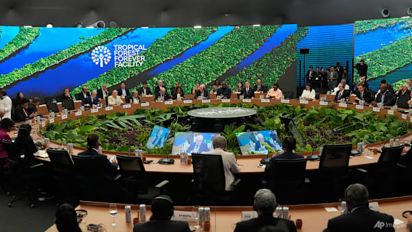 Earth cannot 'sustain' intensive fossil fuel use, Lula tells COP30