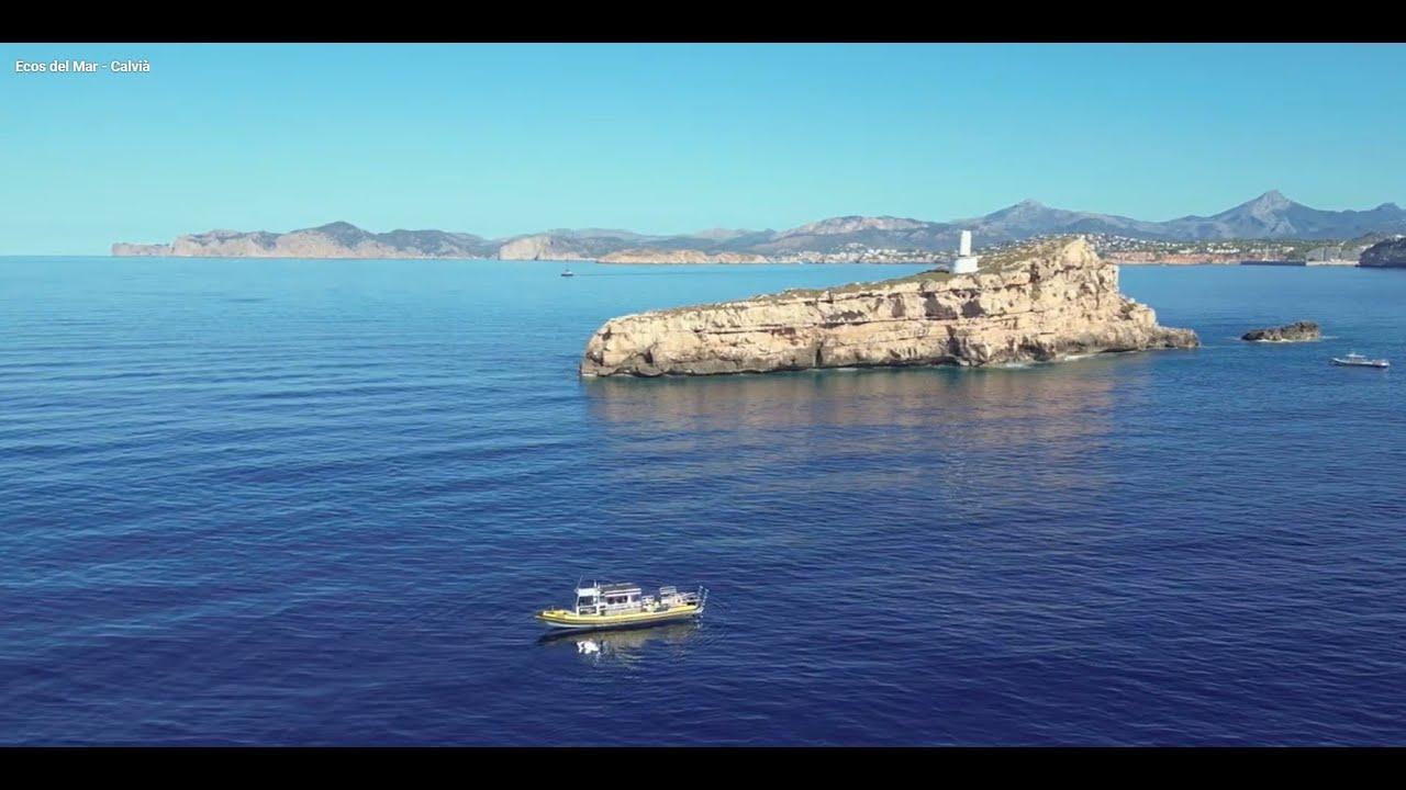 Mallorca on the big screen: Magalluf as you have never seen it before on Amazon, Apple TV and other platforms