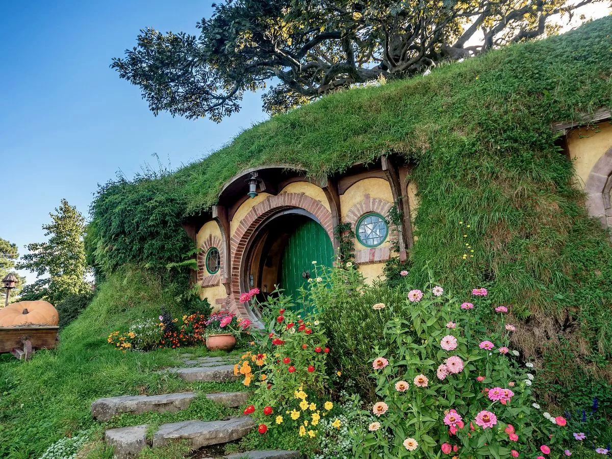 Couple get married in Hobbiton and are gobsmacked when they notice unexpected guest