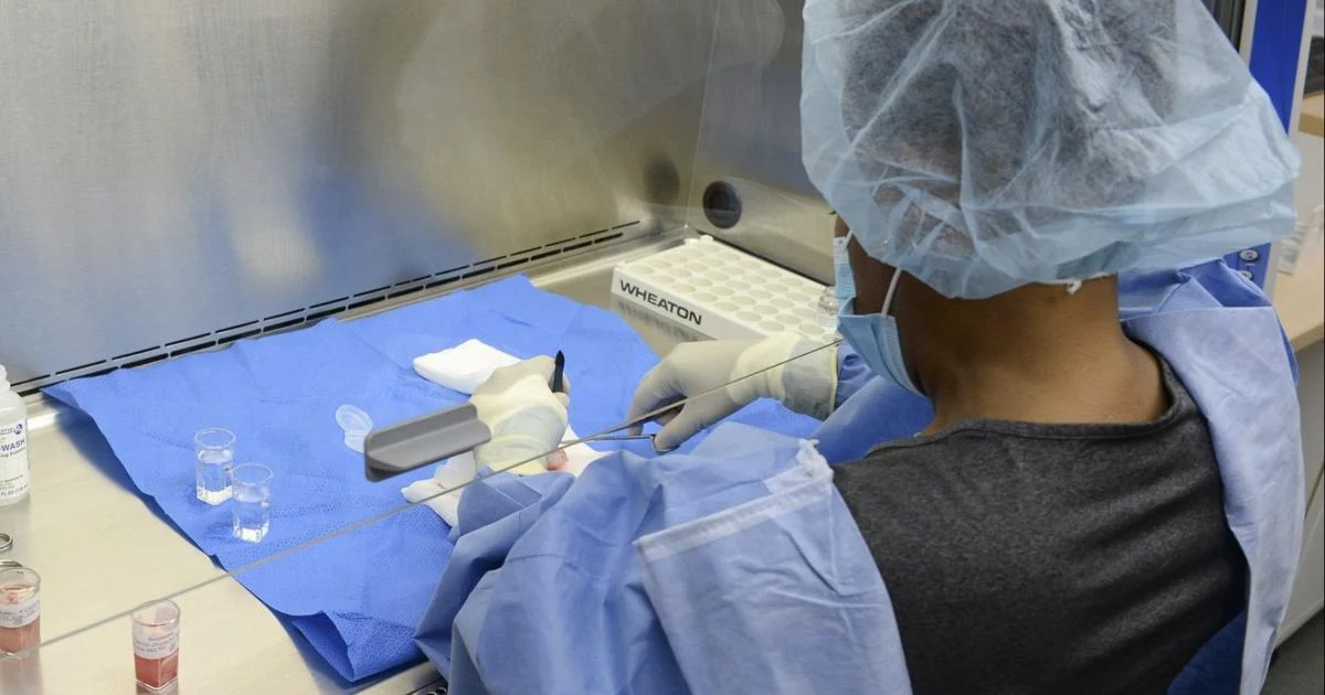 Triad's Miracles in Sight to merge with Alabama group