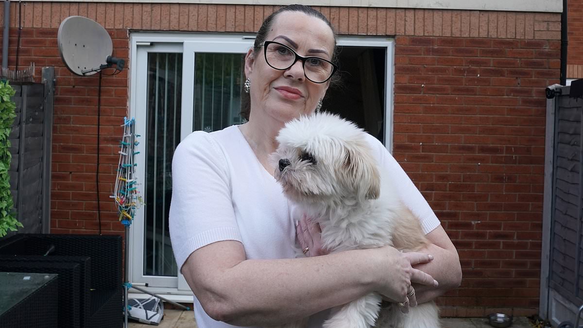 Woman, 60, books one-way flight to Australia after months of 'frightening' abuse from nightmare neighbours left her 'under siege' in terrace home
