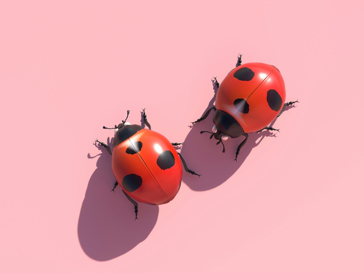 LogicStar AI Wants To Automate Debugging