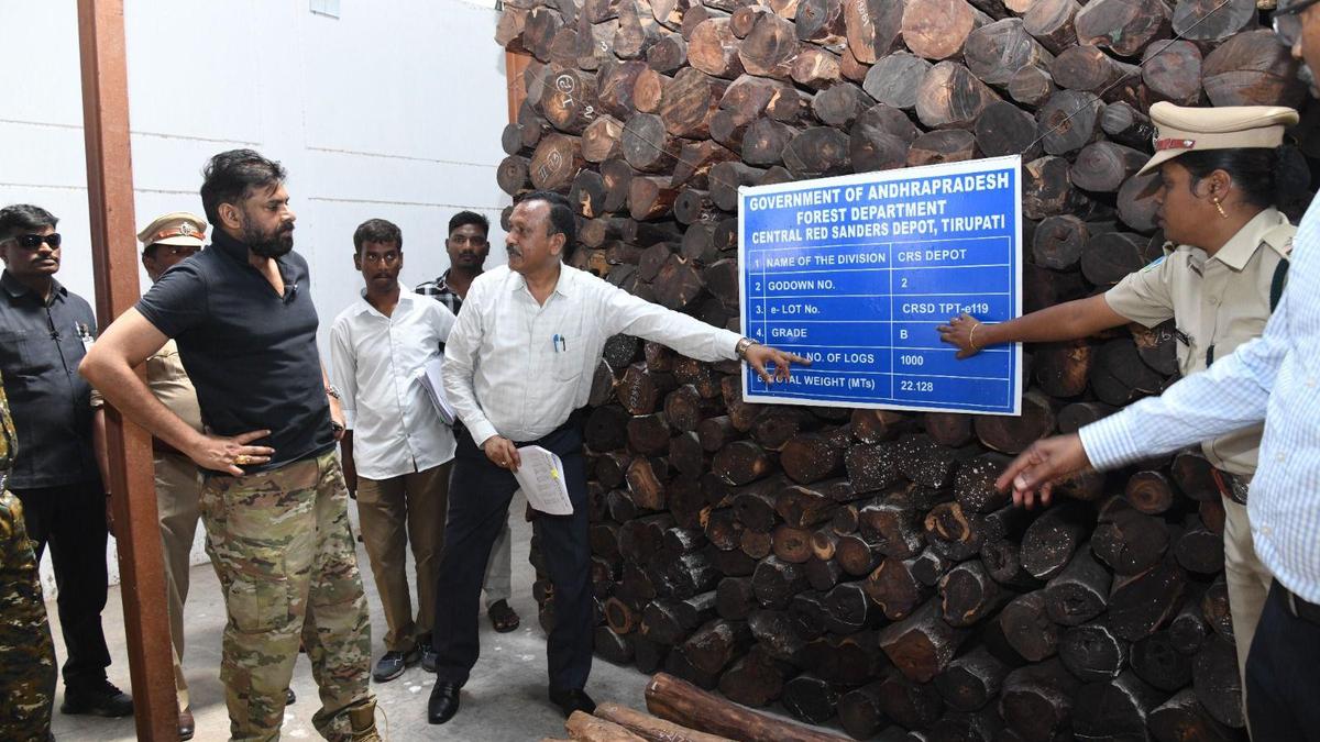Special operation against red sandalwood smugglers soon, says Andhra Pradesh Deputy CM Pawan Kalyan