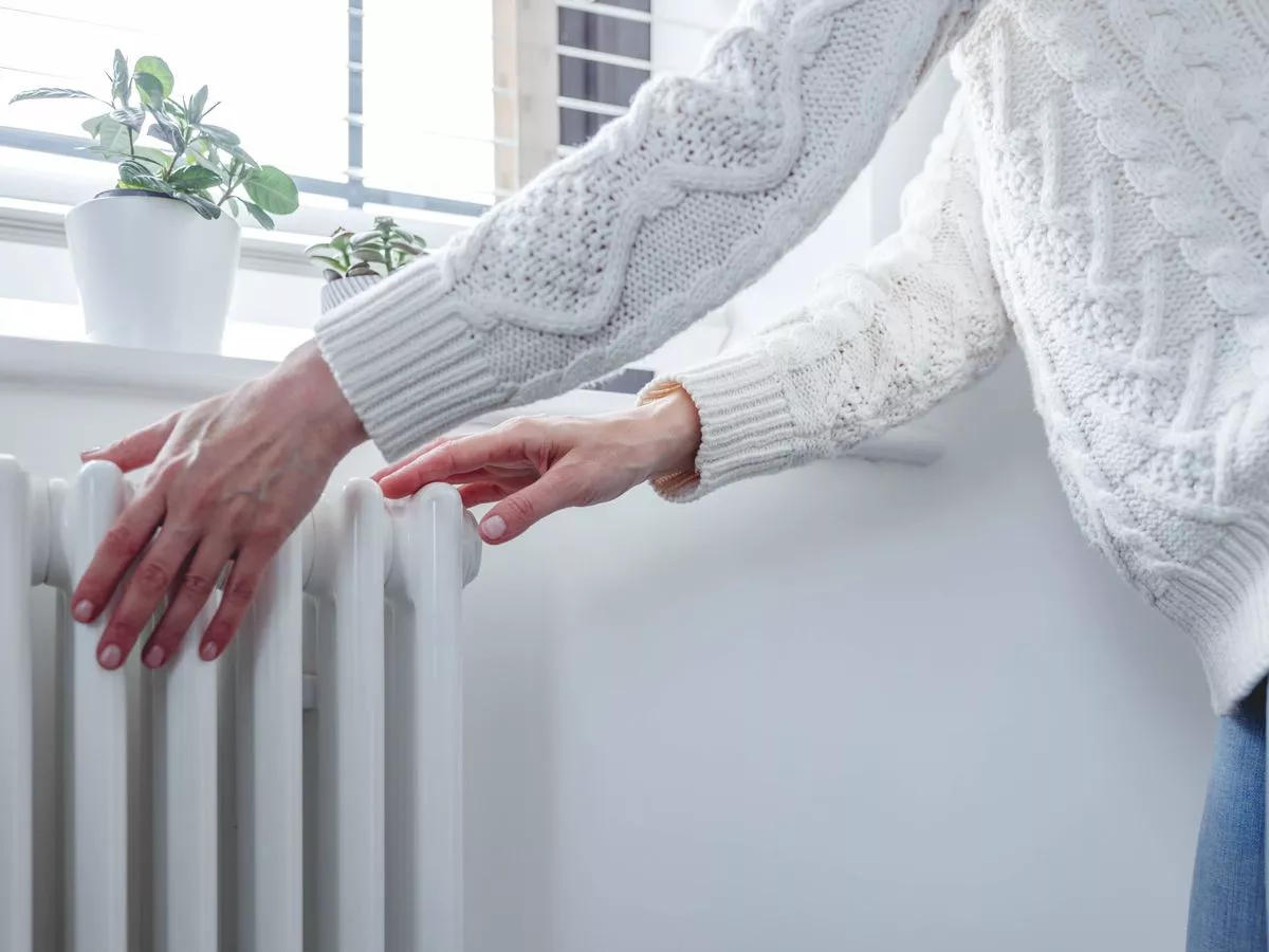 UK homes offered 25 hours free electricity in November - but have 48 hour deadline to apply