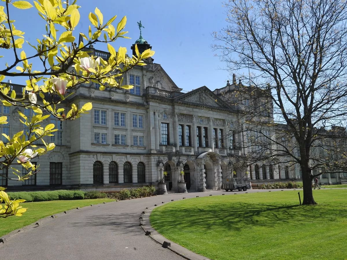 Cardiff University staff speak of stress and worry as they are handed redundancy notices weeks from Christmas