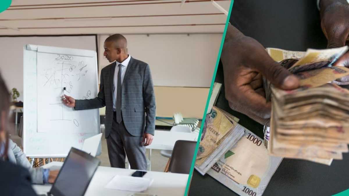 Find out more as Nigerian professors now earn 13x less than salaries of other African lecturers