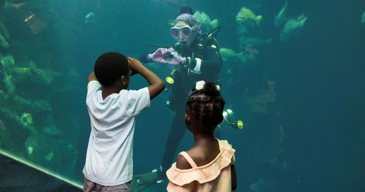 SC Aquarium offers free admission to furloughed workers