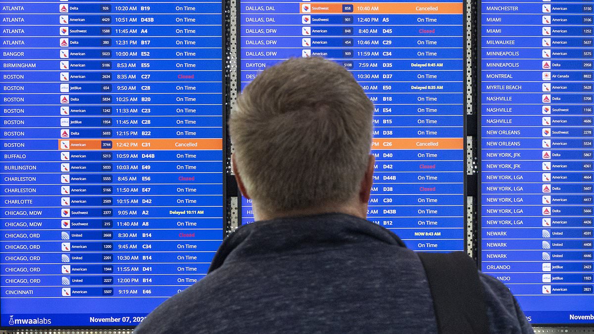 One in FIVE flights could be canceled next week if government shutdown does not end soon, top Trump aide warns