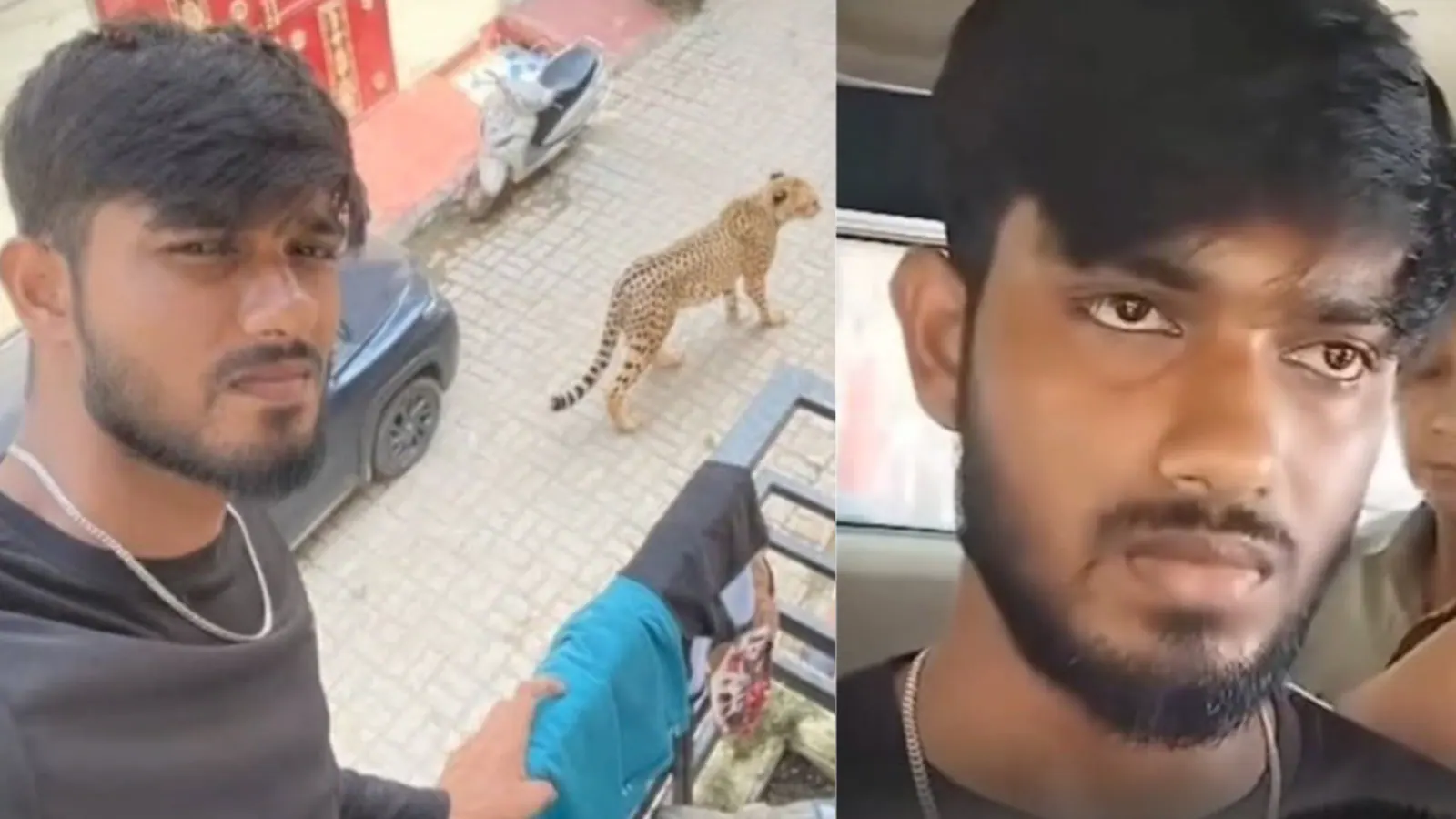 Lucknow Man Adds Leopard With AI, Shares ‘Near My House’ Photo. But Eagle-Eyed Desis Spot ‘Big Error’ — Can You?