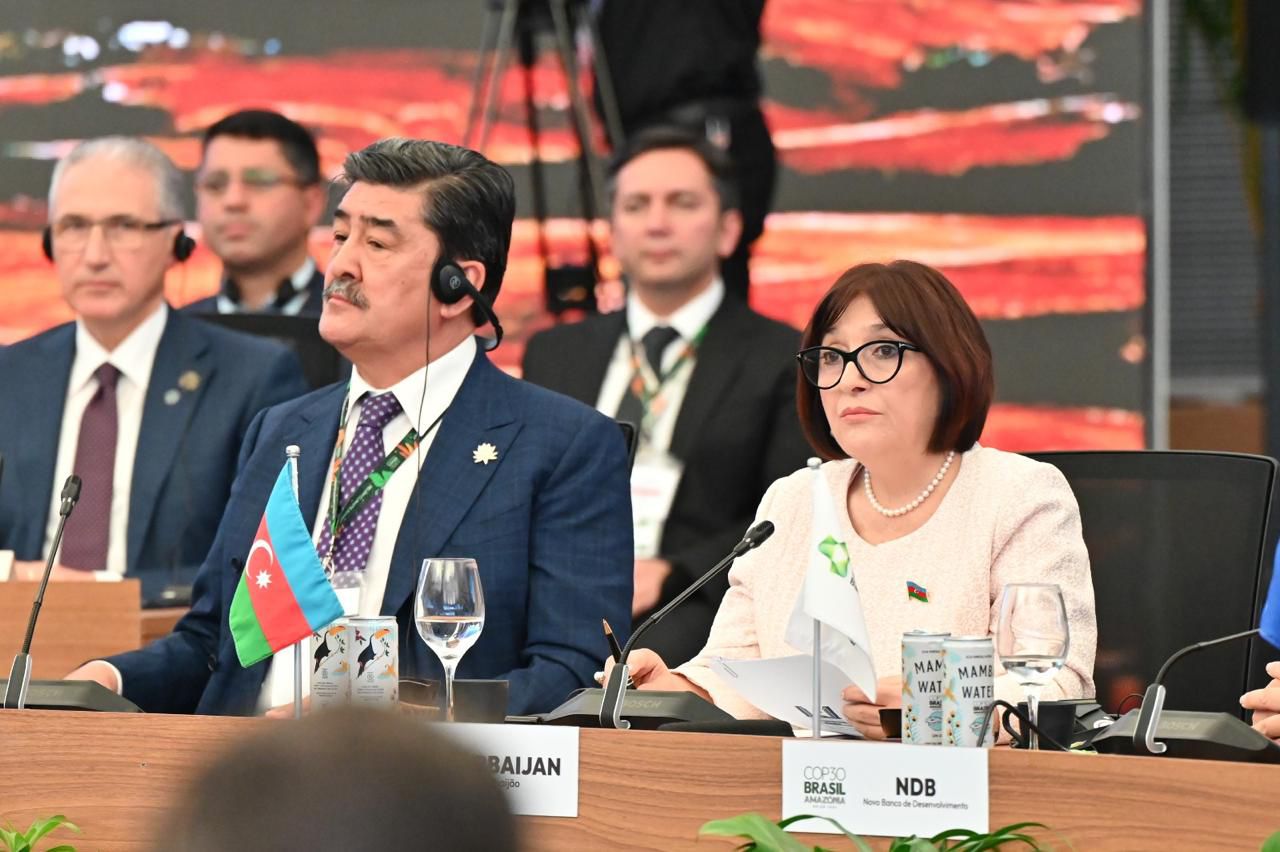 Azerbaijani parliament speaker addresses COP30 Energy Transition thematic session (PHOTO)