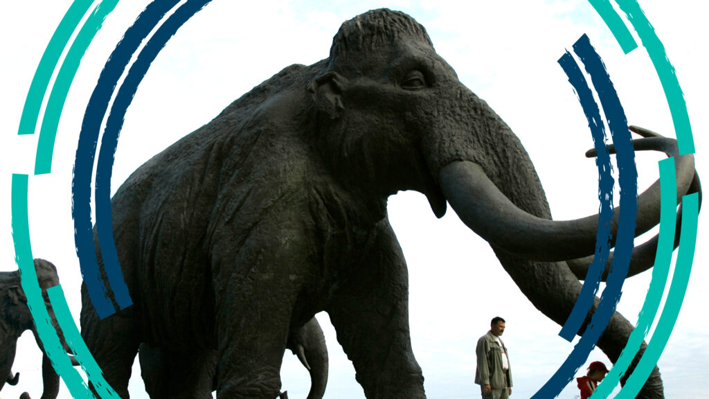 Colossal buys animal cloning biotech in pursuit of de-extinction