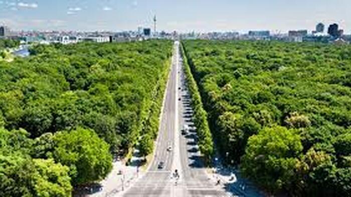 Berlin's 560,000-Tree Gamble: Climate Idealism Vs Economic Reality