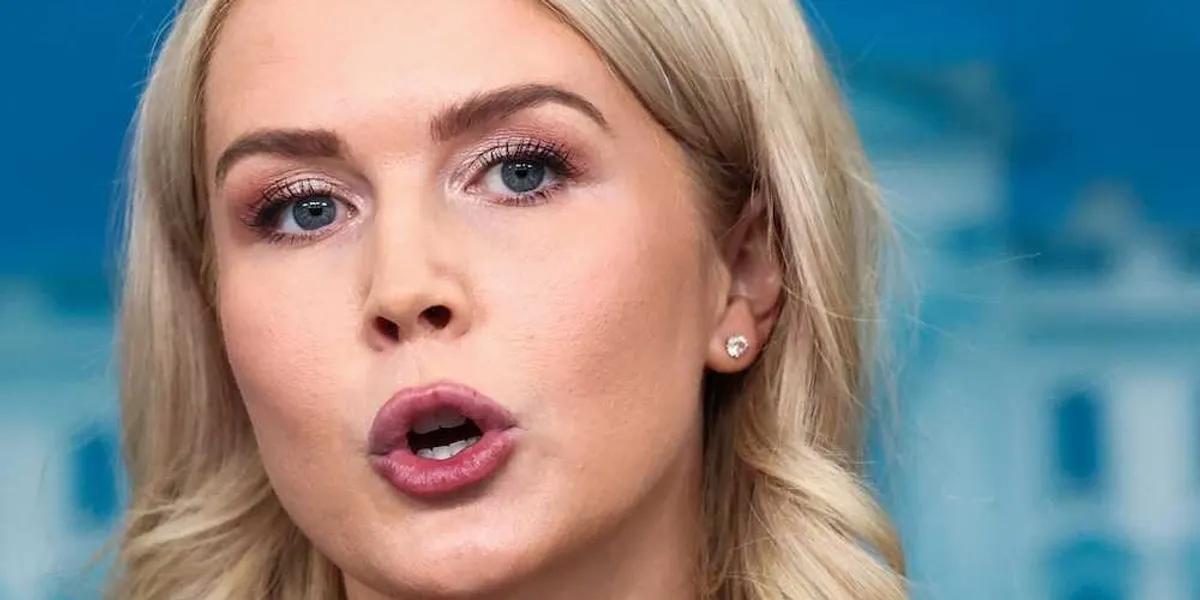 Karoline Leavitt blames Dems for Trump dragging his feet on food stamp funding