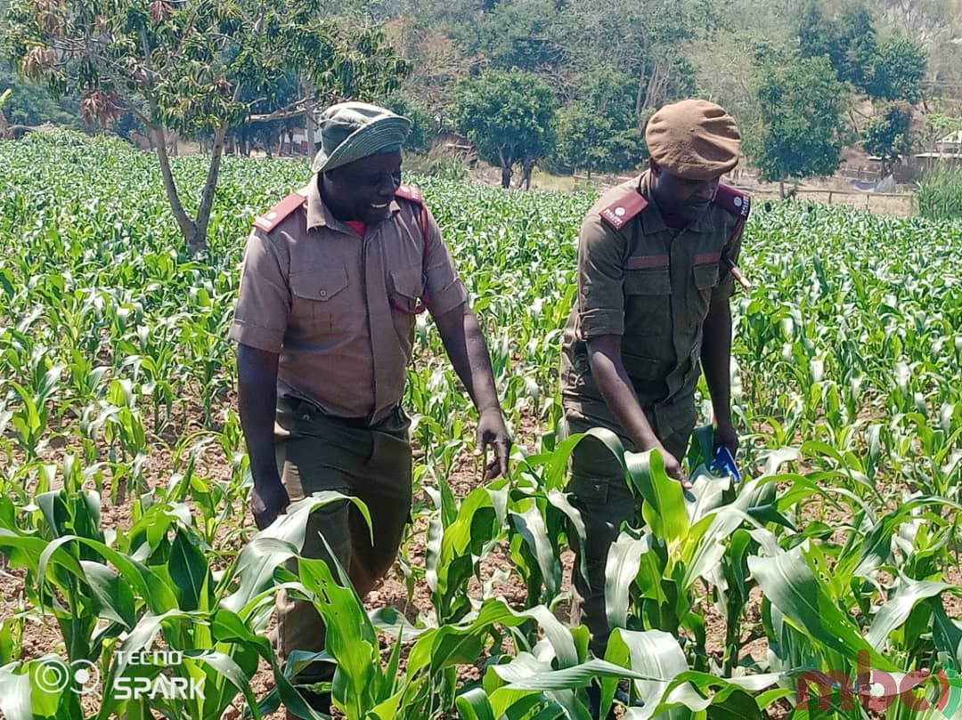 Govt. boosts food security at Nkhata Bay Prison