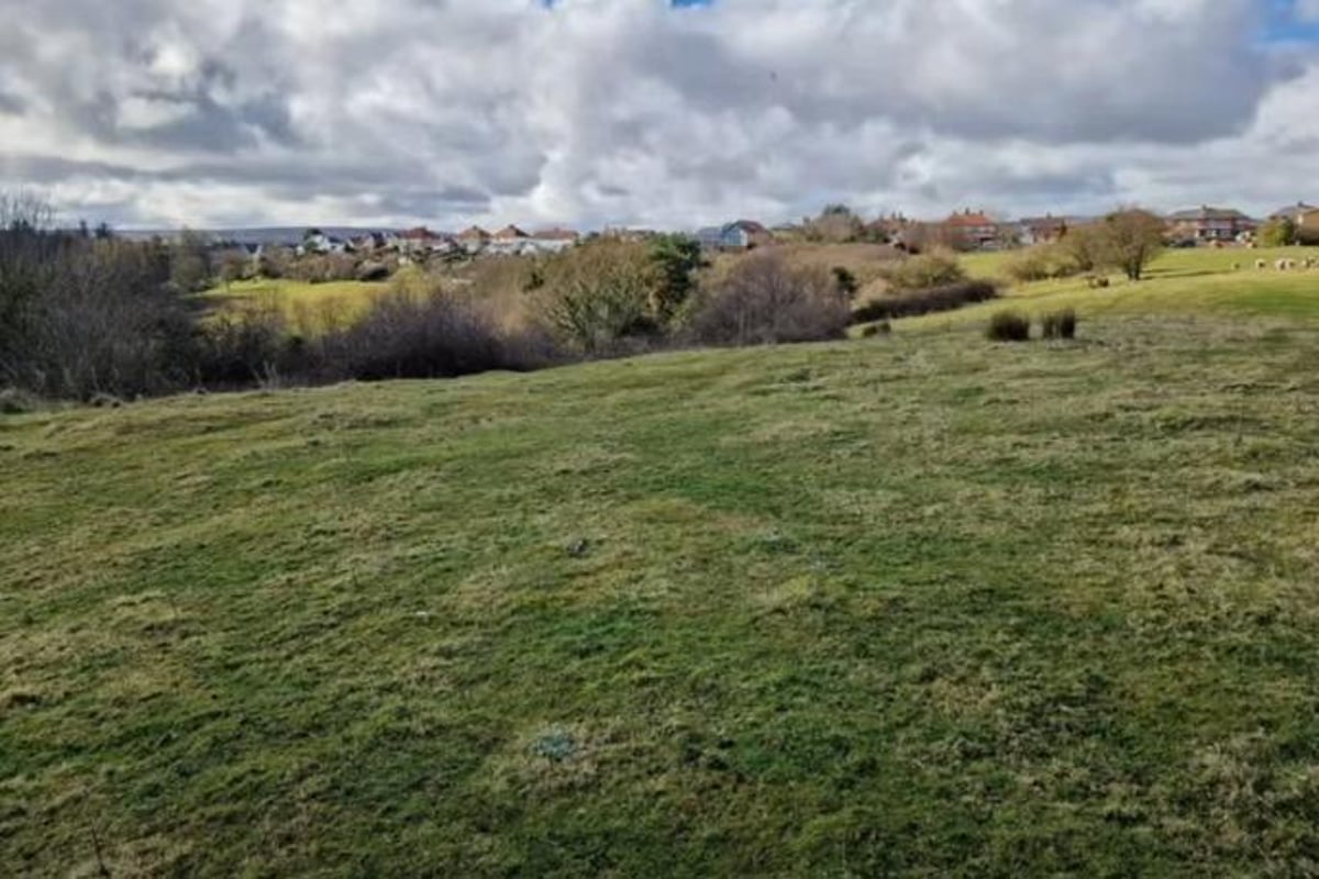 Plan for more than 50 houses near Whitby set for approval despite dozens of objections