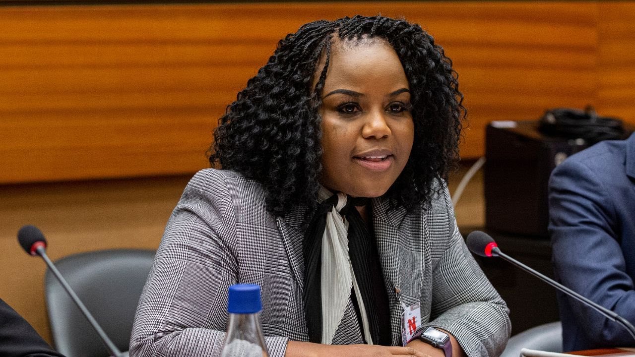 The Digital Iron Lady: Is Zimbabwe ready for a leader like Fadzayi Mahere?