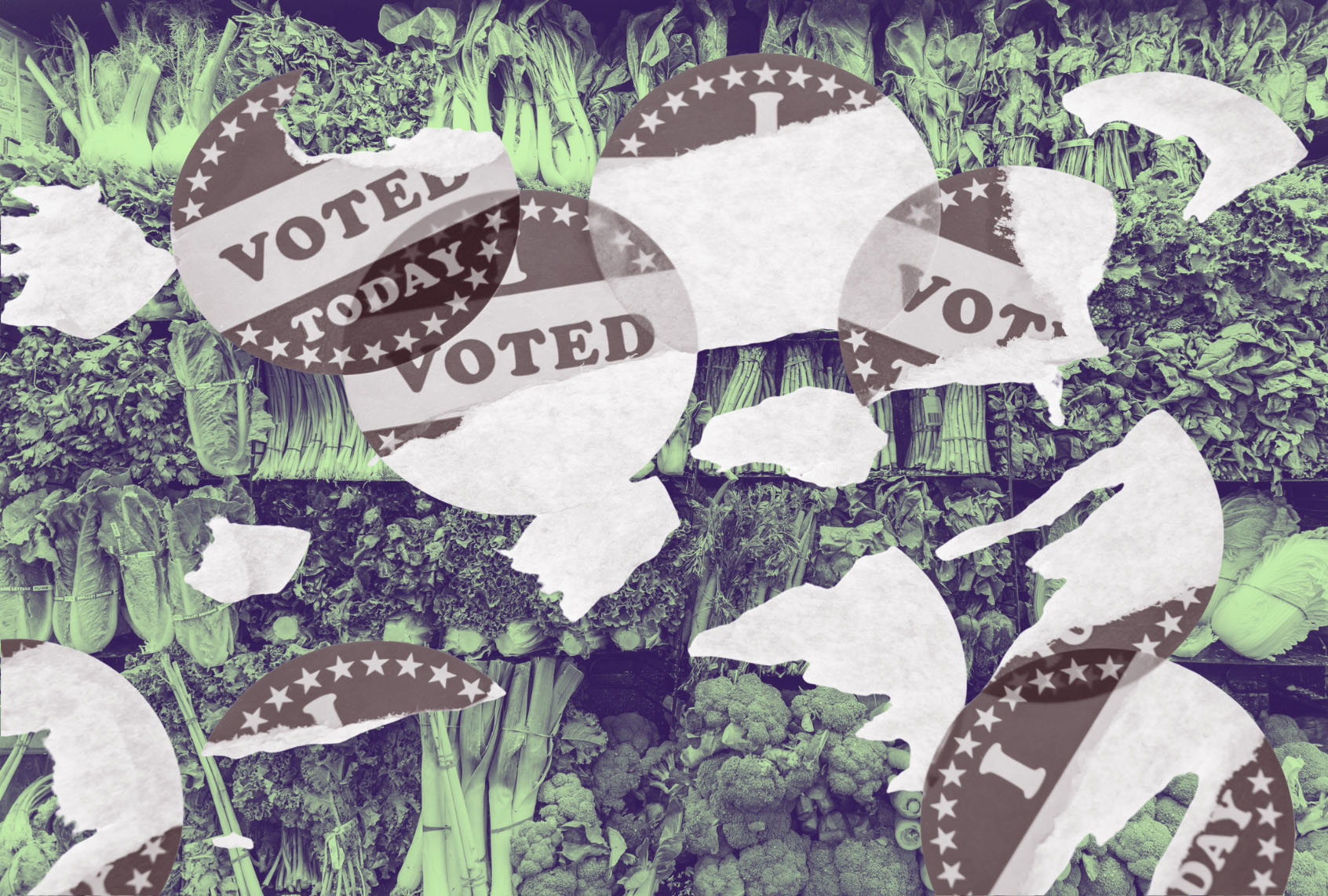 How a loss of public benefits harms democracy