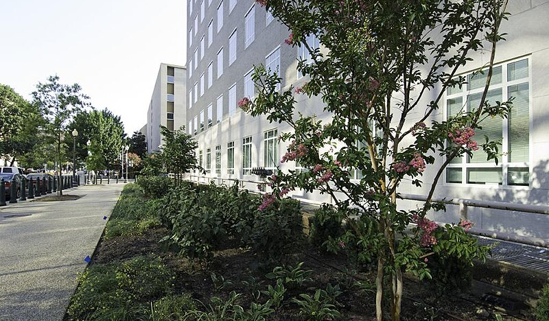 Congressional Budget Office breached by suspected foreign hackers