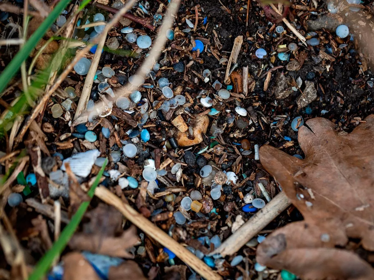 Camber Sands beach horror as 'one of worst pollution spills EVER' sparks urgent warning