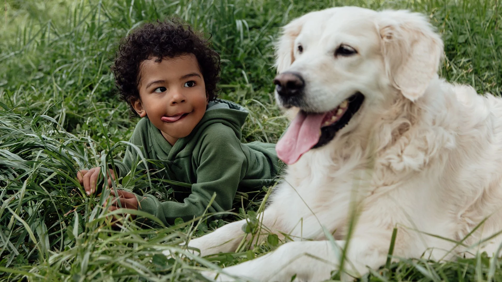 How to introduce your dog to children – and the big mistakes to avoid