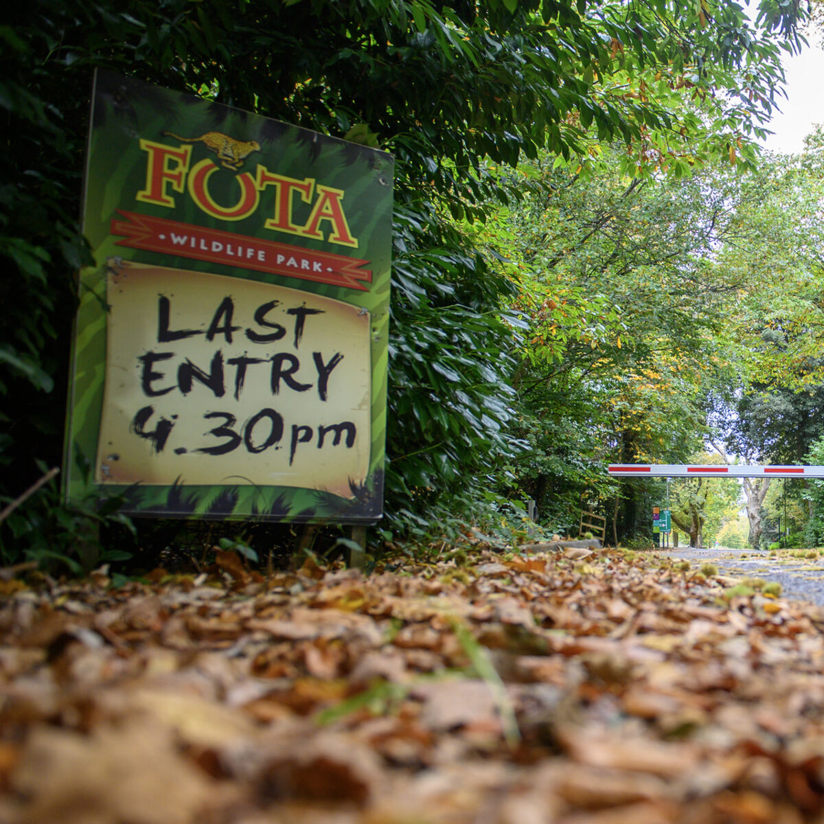 Fota Wildlife Park needs your help to keep animals thriving after the bird flu outbreak
