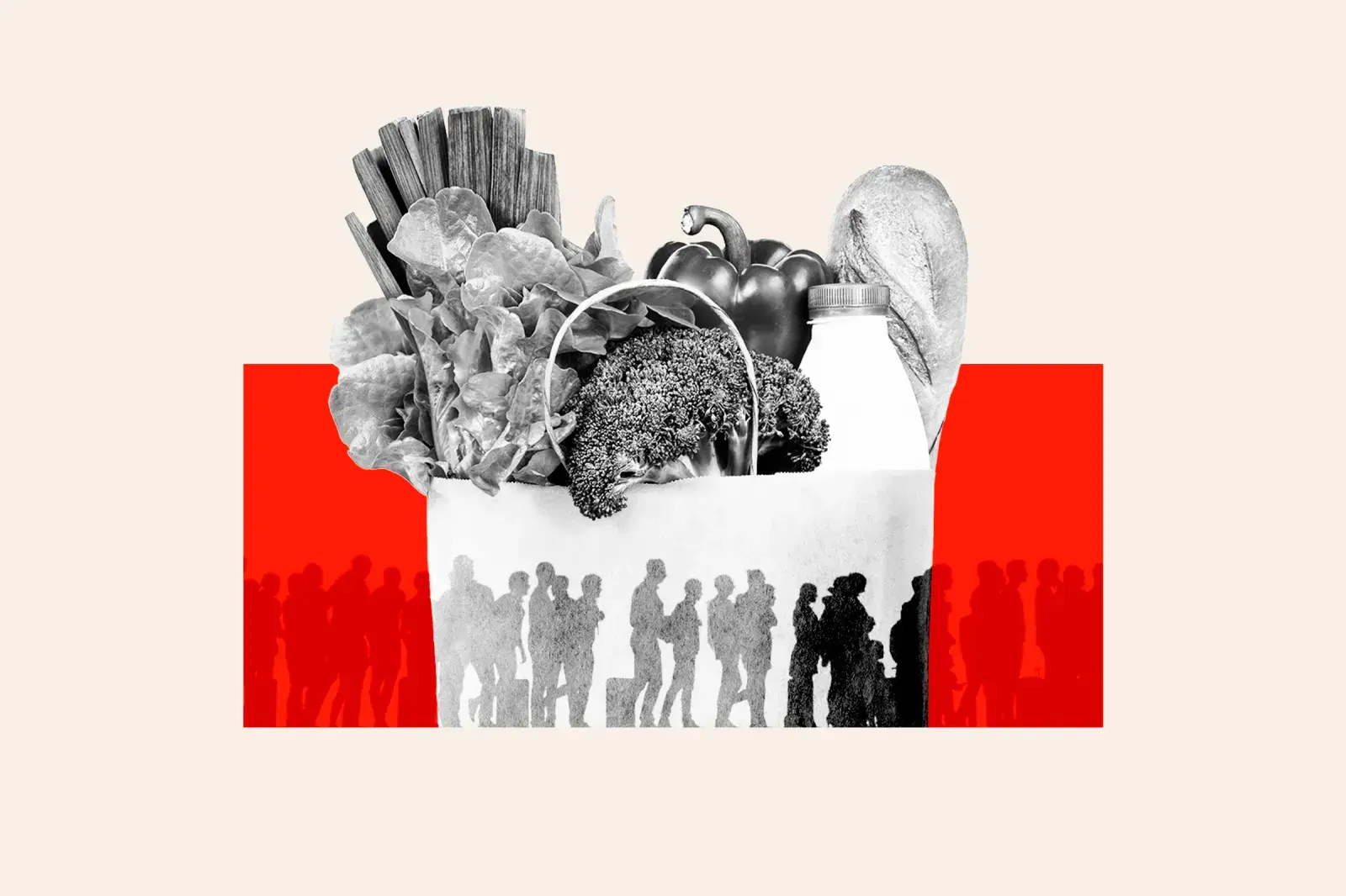 How Many Migrants Use Food Stamps in America? SNAP Benefits Data Analyzed