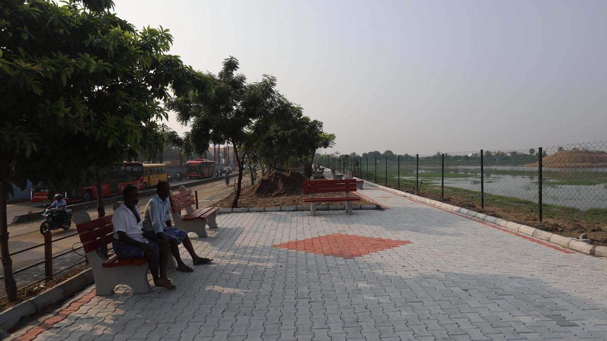 Restoration of the Sholinganallur lake still has some ground to cover