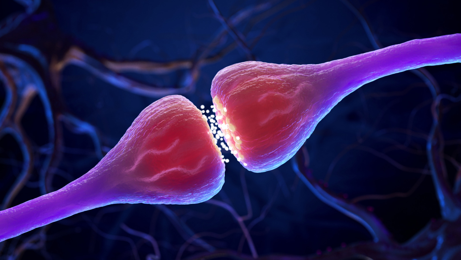 Scientists Have Discovered The Neuron Connection That Might Spread Alzheimer's Disease