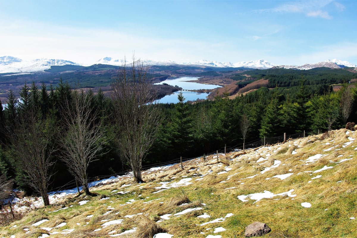 Tycoon lodges plans for new visitor centre in Scotland's Great Glen
