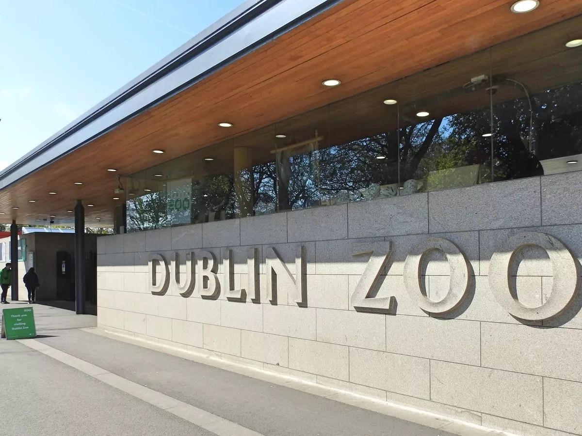 Dublin Zoo 'vehemently disputes' staff harassment and animal welfare claims