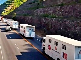 Haiti - Dominican Republic : More than 310,000 Haitians repatriated in 2025, a historic record