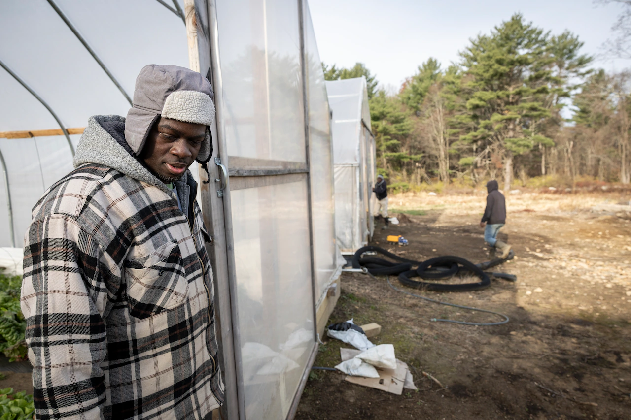 ‘Terrified’: Jamaican Workers in Mass. Lose Contact After Deadly Storm