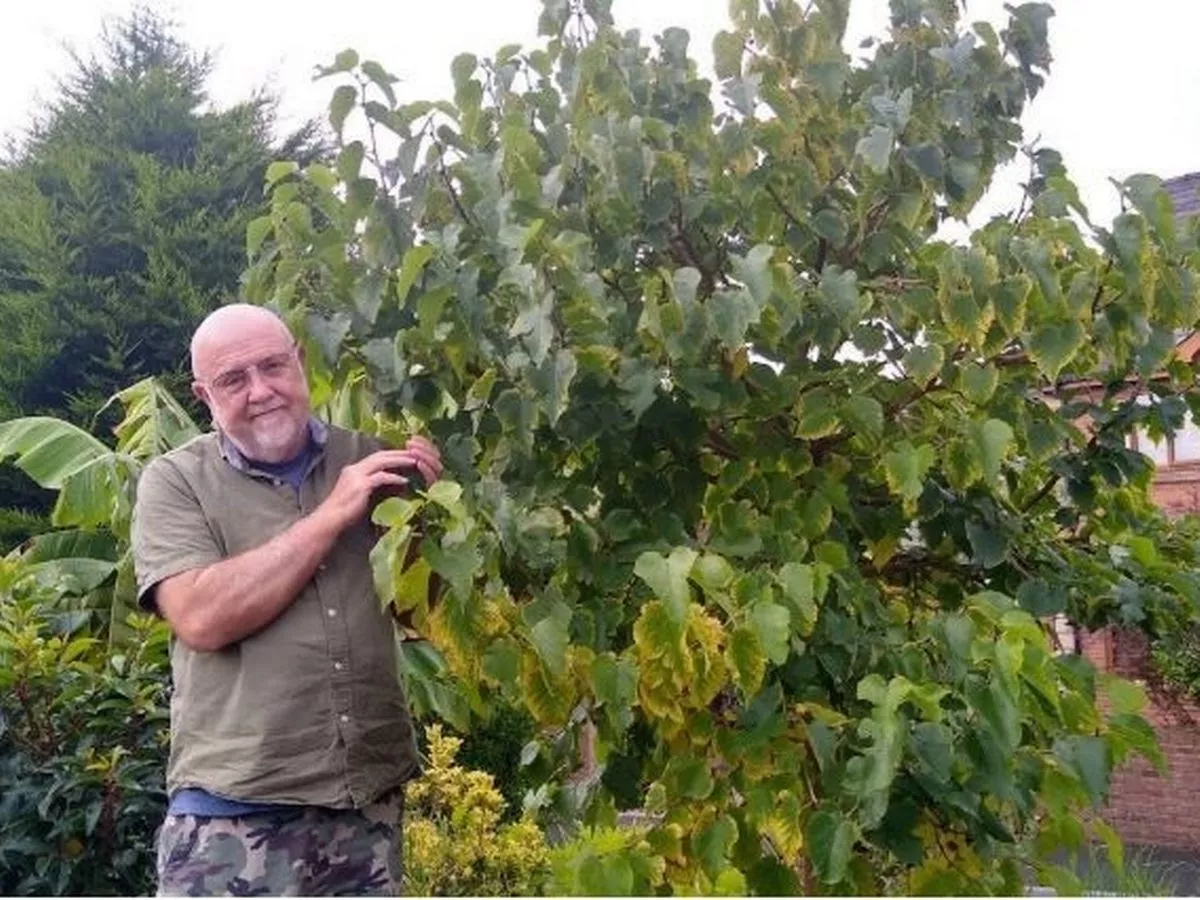 My life was dominated by unbelievable levels of pain, then my doctor suggested I took medical cannabis