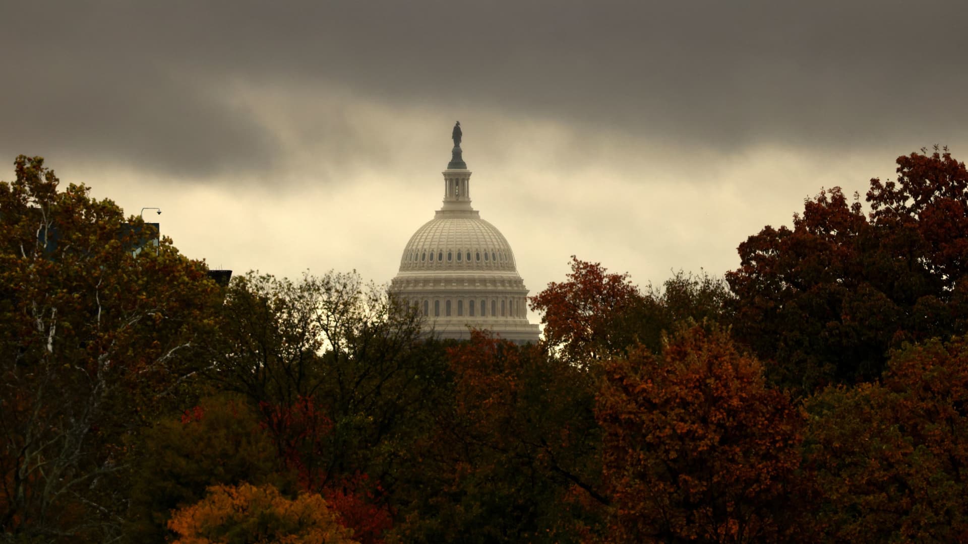 Federal employees are losing shopping interest