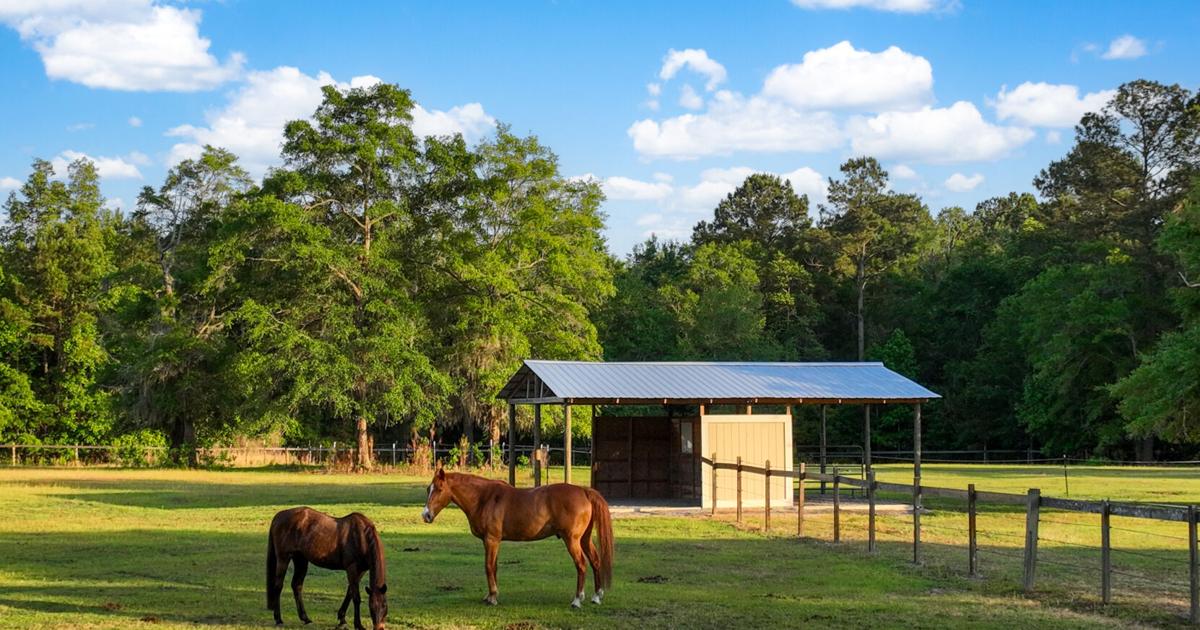 Riding High: The appeal of equestrian properties in the Lowcountry