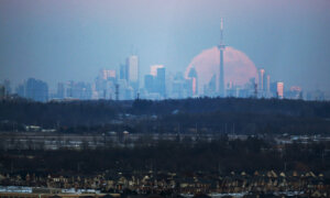 Canada’s October Services Index Shows First Expansion in the Sector This Year