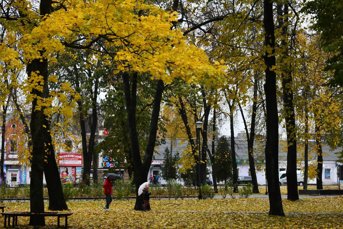 Plenty to Stir in the Witch’s Caldron