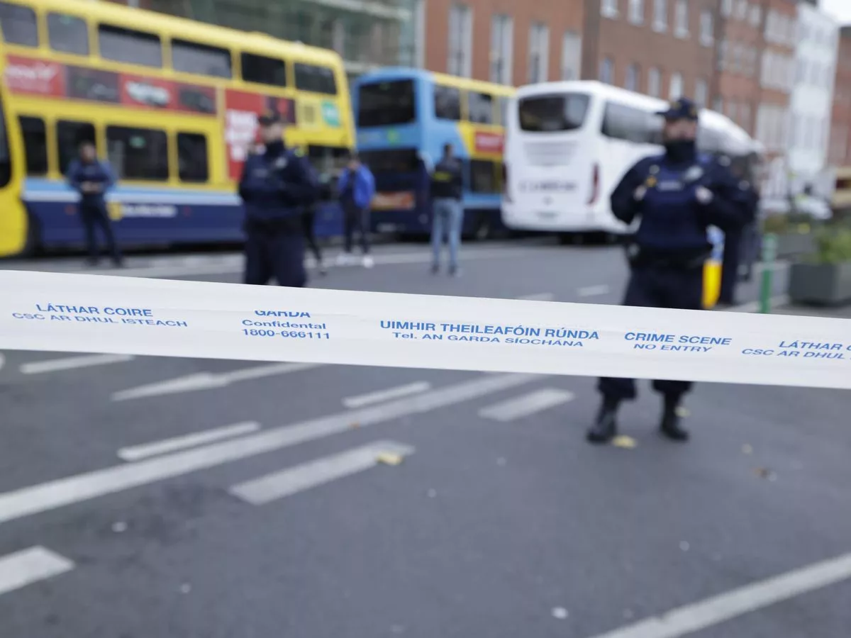 Parnell Square stabbing victim turns seven as family shares update on her 'great progress'