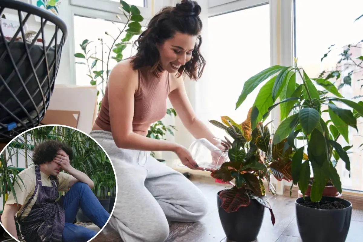 This is the best amount of indoor plants to have for well-being