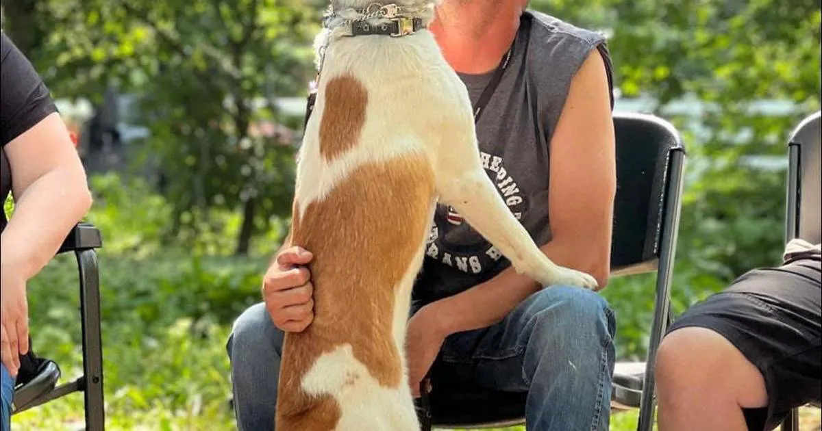 Thank You, Veterans: Dwight veteran finds healing in nature