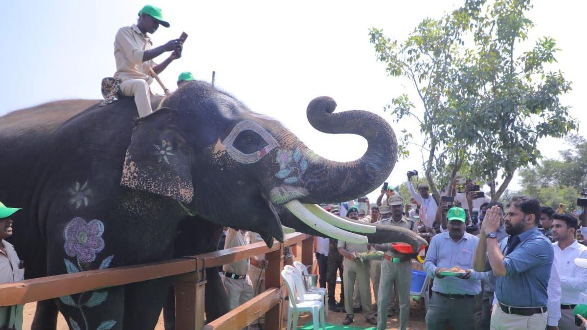 Pawan Kalyan launches Kumki Camp, Project HANUMAN to tackle human–elephant conflict in Chittoor
