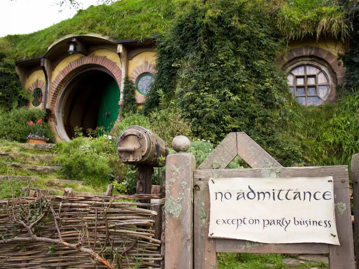 Lord of the Rings fans get married in New Zealand and are gobsmacked by unexpected guest