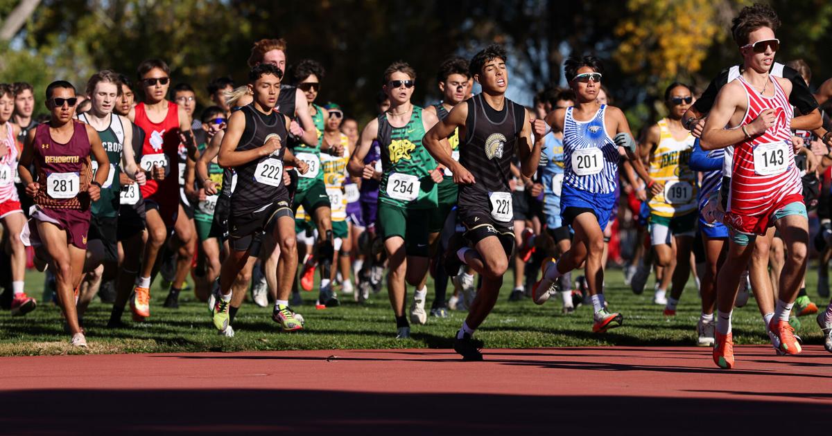 Moments from the state cross country championships
